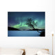 Aurora Borealis over Sandvannet Wall Decal Design 1
