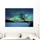 Aurora Borealis over Sandvannet Wall Decal Design 1