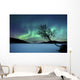 Aurora Borealis over Sandvannet Wall Decal Design 1