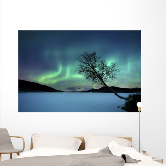 Aurora Borealis over Sandvannet Wall Decal Design 1