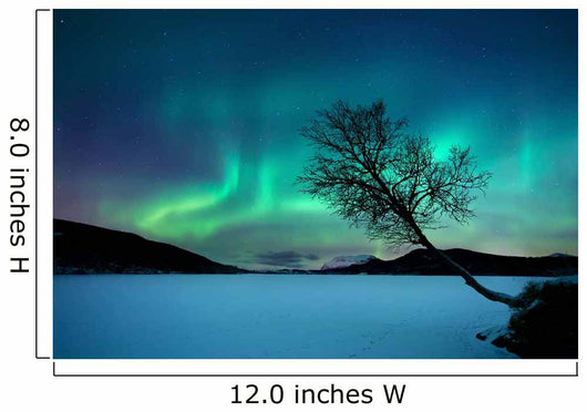 Aurora Borealis over Sandvannet Wall Decal Design 1