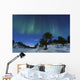 Aurora Borealis Forramarka Troms Wall Decal Design 5