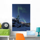 Aurora Borealis over Troms Wall Decal