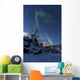 Aurora Borealis over Troms Wall Decal