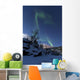 Aurora Borealis over Troms Wall Decal