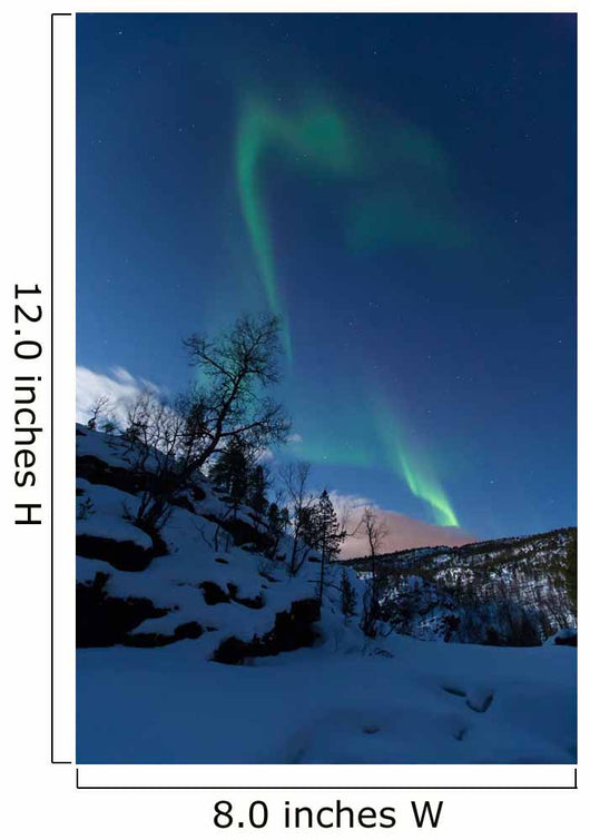 Aurora Borealis over Troms Wall Decal