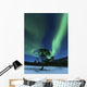 Aurora Borealis Forramarka Troms Wall Decal Design 3