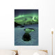 Aurora Borealis over Frozen Wall Decal Design 2