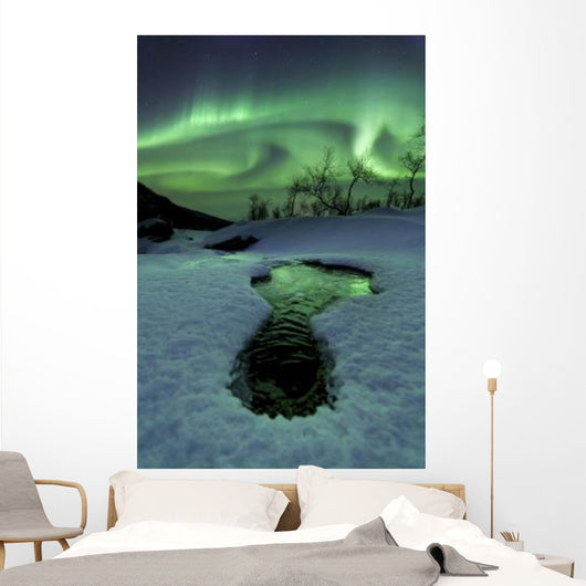 Aurora Borealis over Frozen Wall Decal Design 2
