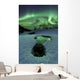 Aurora Borealis over Frozen Wall Decal Design 2