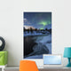 Aurora Borealis over Tennevik Wall Decal