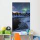 Aurora Borealis over Tennevik Wall Decal