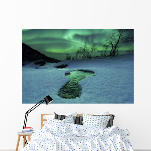 Aurora Borealis over Frozen Wall Decal Design 3