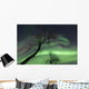 Northern Lights Arctic Wilderness Wall Decal Design 7