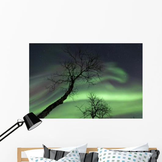 Northern Lights Arctic Wilderness Wall Decal Design 7