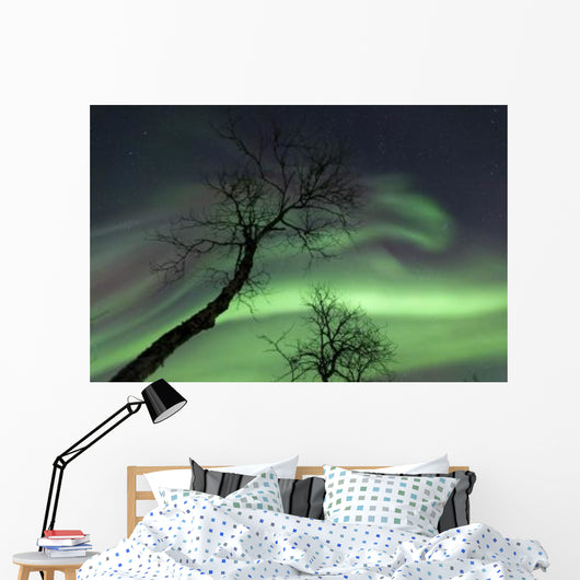 Northern Lights Arctic Wilderness Wall Decal Design 7