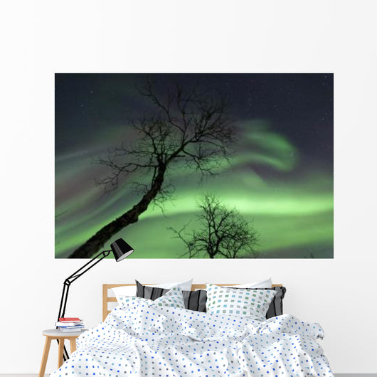 Northern Lights Arctic Wilderness Wall Decal Design 7