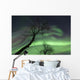 Northern Lights Arctic Wilderness Wall Decal Design 7