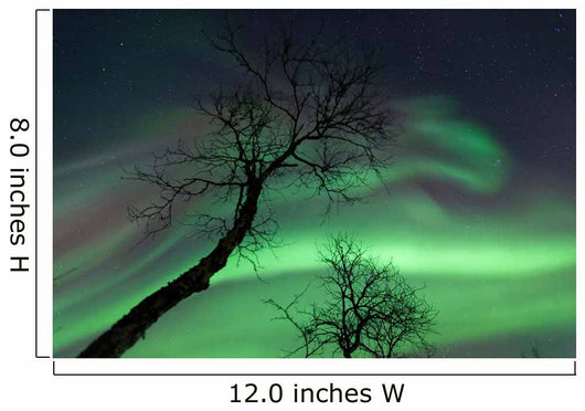 Northern Lights Arctic Wilderness Wall Decal Design 7