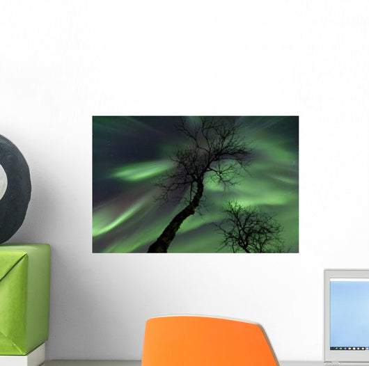 Northern Lights Arctic Wilderness Wall Decal Design 6