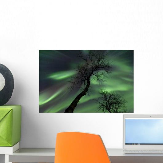 Northern Lights Arctic Wilderness Wall Decal Design 6