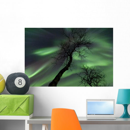 Northern Lights Arctic Wilderness Wall Decal Design 6