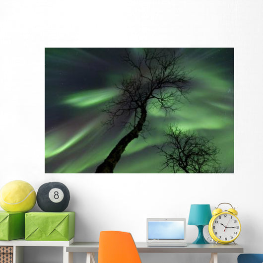 Northern Lights Arctic Wilderness Wall Decal Design 6