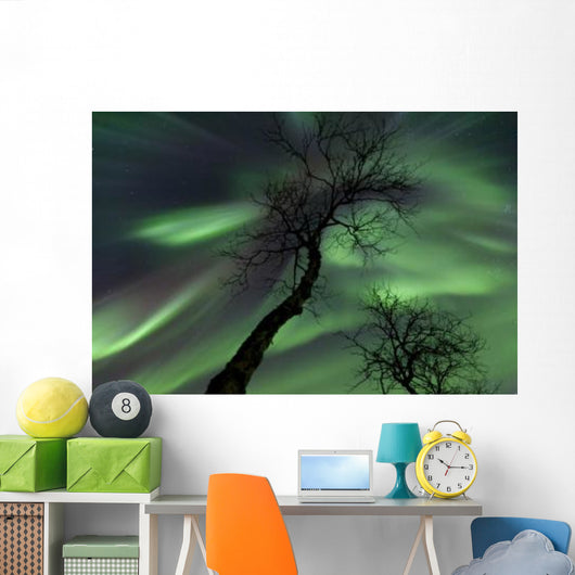 Northern Lights Arctic Wilderness Wall Decal Design 6