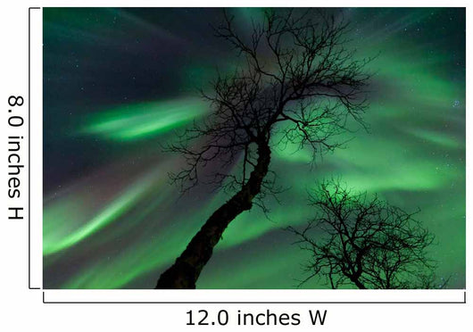 Northern Lights Arctic Wilderness Wall Decal Design 6