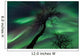 Northern Lights Arctic Wilderness Wall Decal Design 6