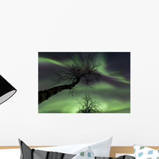 Northern Lights Arctic Wilderness Wall Decal