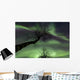 Northern Lights Arctic Wilderness Wall Decal