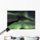 Northern Lights Arctic Wilderness Wall Decal
