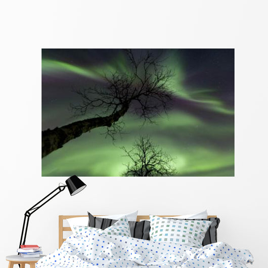 Northern Lights Arctic Wilderness Wall Decal
