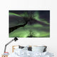 Northern Lights Arctic Wilderness Wall Decal