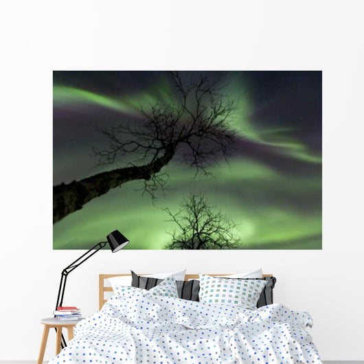 Northern Lights Arctic Wilderness Wall Decal