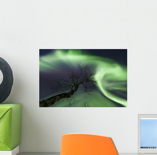 Northern Lights Arctic Wilderness Wall Decal Design 5