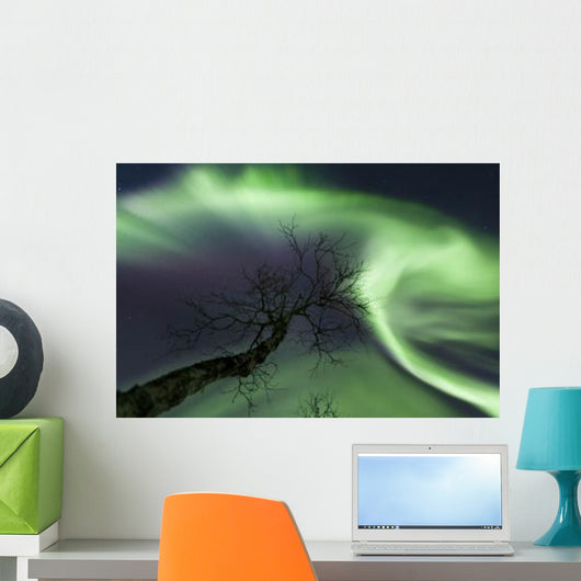 Northern Lights Arctic Wilderness Wall Decal Design 5