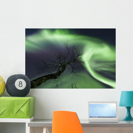 Northern Lights Arctic Wilderness Wall Decal Design 5