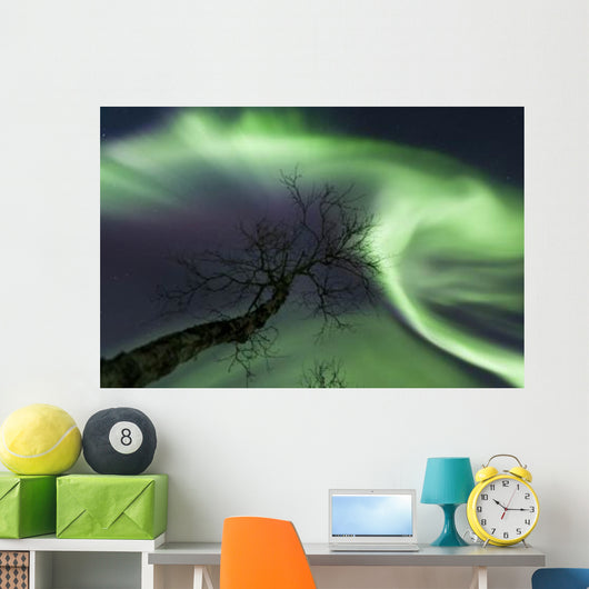 Northern Lights Arctic Wilderness Wall Decal Design 5