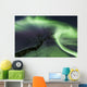 Northern Lights Arctic Wilderness Wall Decal Design 5