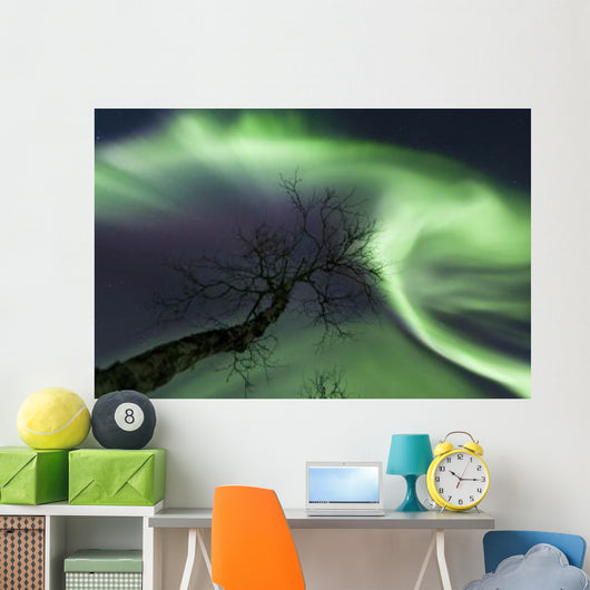 Northern Lights Arctic Wilderness Wall Decal Design 5