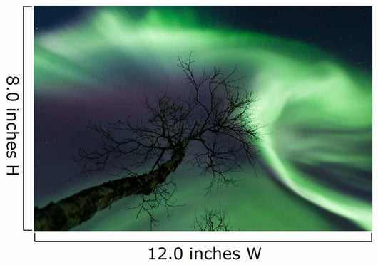 Northern Lights Arctic Wilderness Wall Decal Design 5
