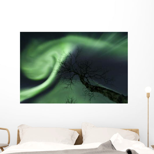 Northern Lights Arctic Wilderness Wall Decal Design 4
