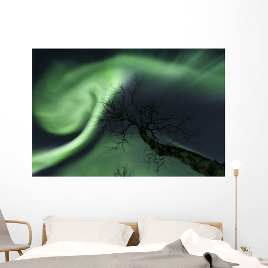 Northern Lights Arctic Wilderness Wall Decal Design 4