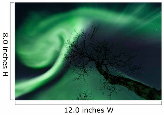 Northern Lights Arctic Wilderness Wall Decal Design 4