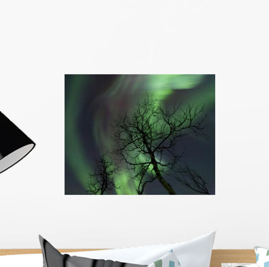 Northern Lights Arctic Wilderness Wall Decal Design 3
