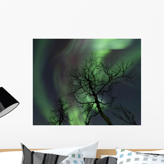 Northern Lights Arctic Wilderness Wall Decal Design 3