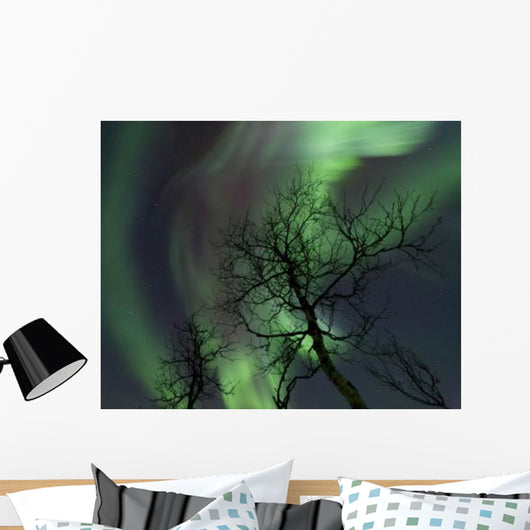 Northern Lights Arctic Wilderness Wall Decal Design 3