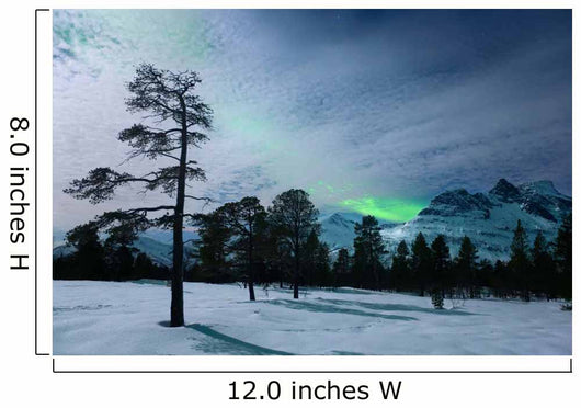 Moonlight and Aurora Borealis Wall Decal Design 2